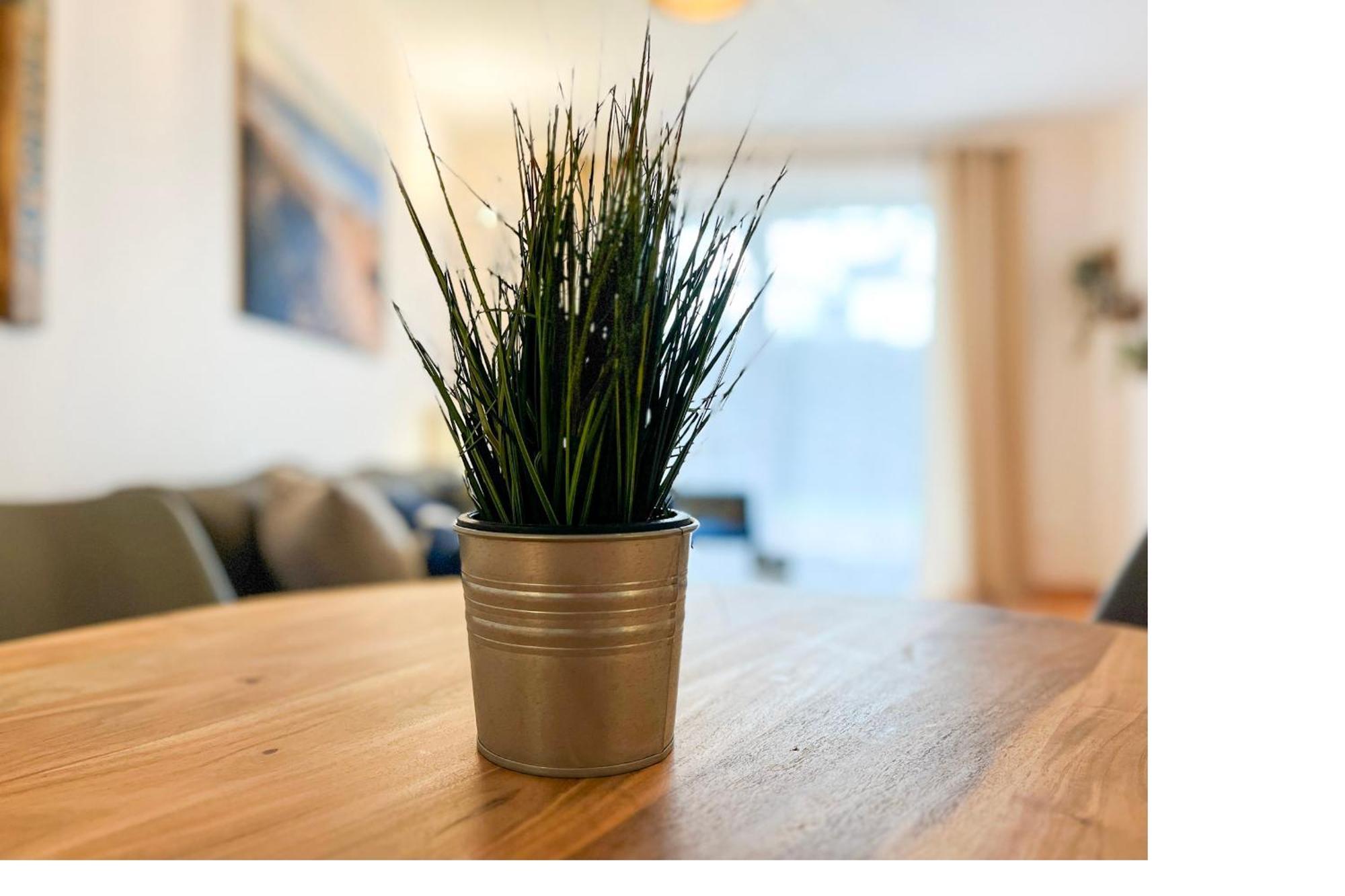 Hanse-Hof Wohnung 05 บอลเทินฮาเกิน ภายนอก รูปภาพ